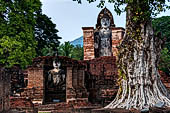 Thailand, Old Sukhothai - Wat Mahathat, there are nearly 200 secondary chedi in the temple area. 